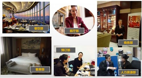 酒店管理專業(yè)中的餐飲管理 藝術(shù)與科學的融合